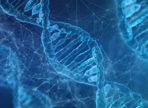 Synthetic Biology Report
