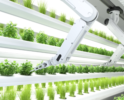 Vertical Farming Report